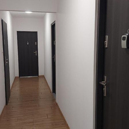 Cosy Studio Szopena Ряшів Екстер'єр фото